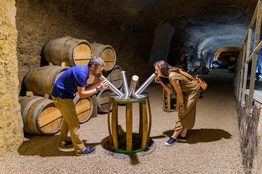 Amboise: Caves Ambacia Visit and Wine Tasting - Price and value: how $37 for 90 minutes stacks up