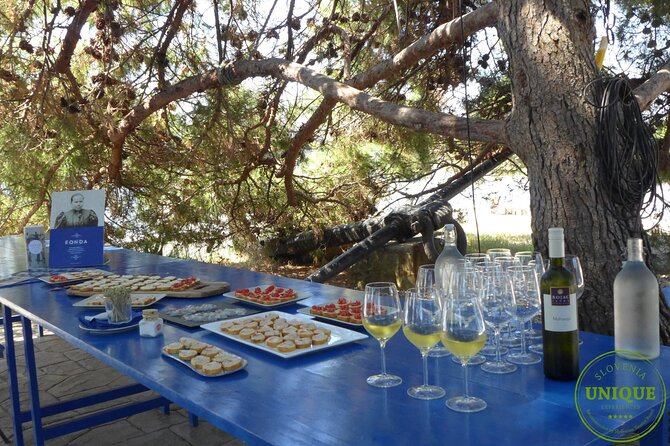 An Unforgettable Day With Fish, Wine and Olive Oil Tasting - Group Size and English: Comfort for Most People