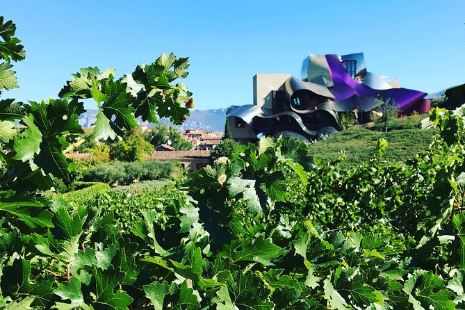 Architectural Rioja Small Group Wine Tour with Lunch from Bilbao - The Small-Group Advantage (Max 7) and How the Day Moves