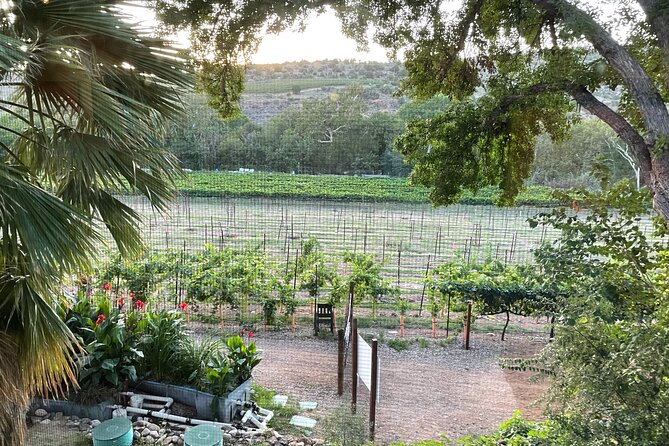 Arizona Winery All-Inclusive Tour with Lunch & Tastings - Sedona wine country without the driver math