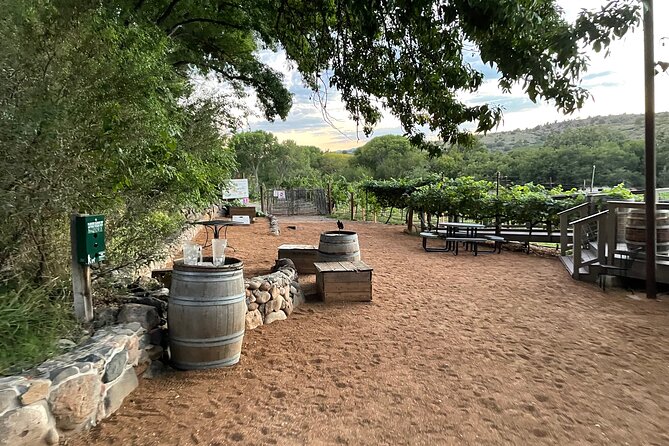 Arizona Winery All-Inclusive Tour with Lunch & Tastings - Tastings: what 5–6 pours per vineyard really means