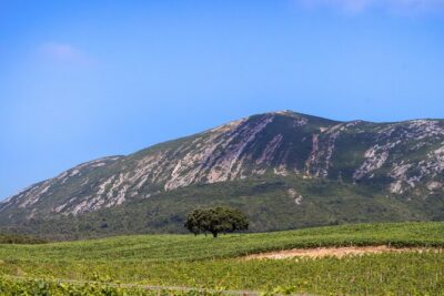 Arrabida and Sesimbra Small-Group Day Trip from Lisbon with Wine Tasting - Vasco da Gama Bridge to Setúbal: the day opens with scale
