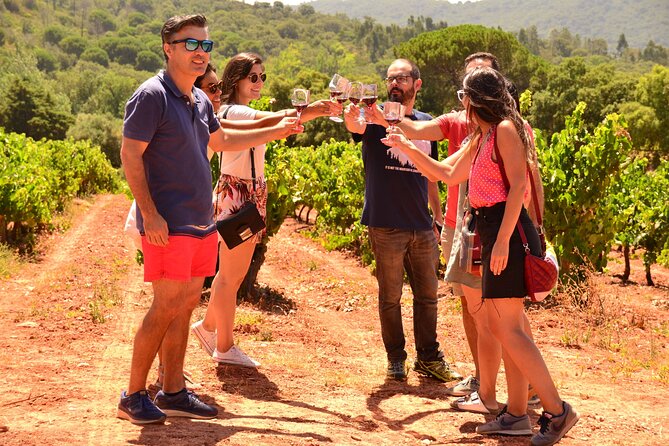 Arrabida and Sesimbra Small-Group Day Trip from Lisbon with Wine Tasting - Who this day trip suits best