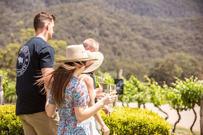 Audrey Wilkinson Vineyard: Picnic with Wine Masterclass Tasting - Gourmet Picnic Hamper in the Vines: The Part You’ll Actually Remember