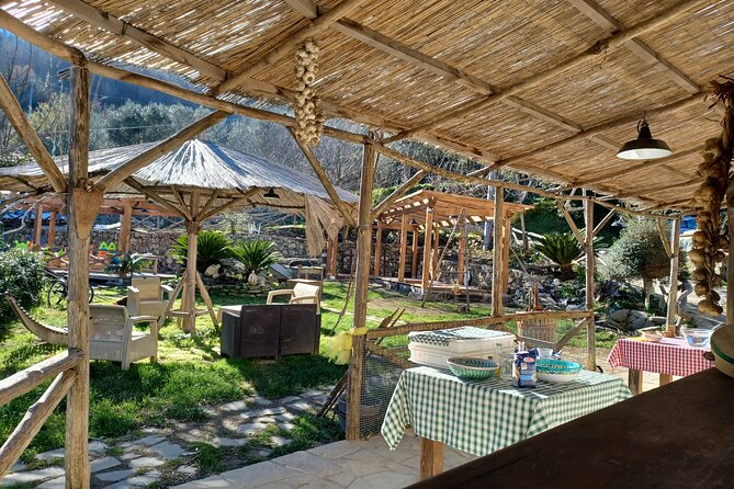 Authentic Farm Tour with Pizza, Cheese, Wine & Limoncello Tasting - From Sorrento to Primaluce: the scenic uphill change of pace
