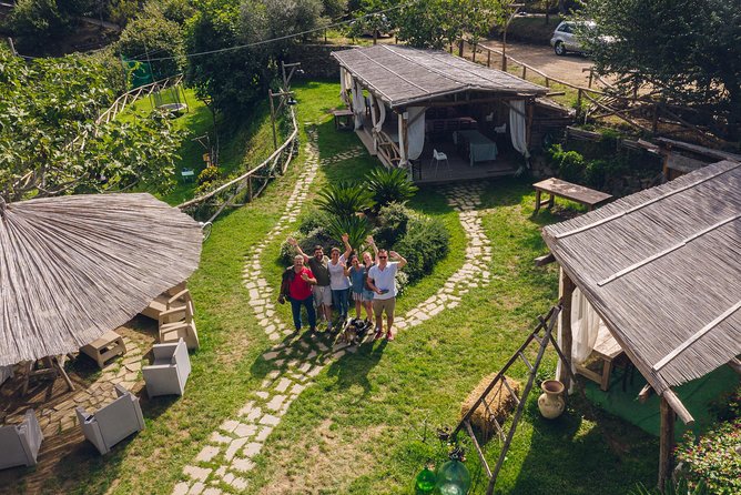 Authentic Farm Tour with Pizza, Cheese, Wine & Limoncello Tasting - Vineyard wine tasting: what a Sorrento hillside tastes like