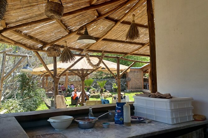 Authentic Farm Tour with Pizza, Cheese, Wine & Limoncello Tasting - Pizza school: making dough and building your own pie