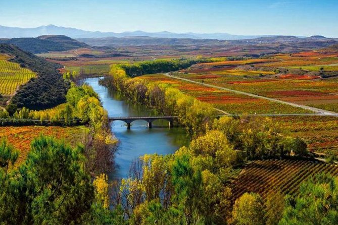Authentic Rioja Wine Experience - Key things that make this Rioja day work