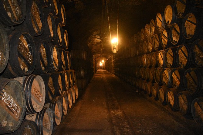Authentic Rioja Wine Experience - The lunch break: local food paired with Rioja wines