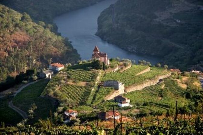 Authentic Small Group Douro Wine Tour with Lunch & River Cruise - Key highlights to look for
