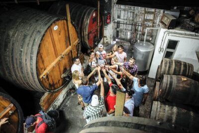 Authentic Small Group Douro Wine Tour with Lunch & River Cruise - Porto pickup, van comfort, and the small-group advantage