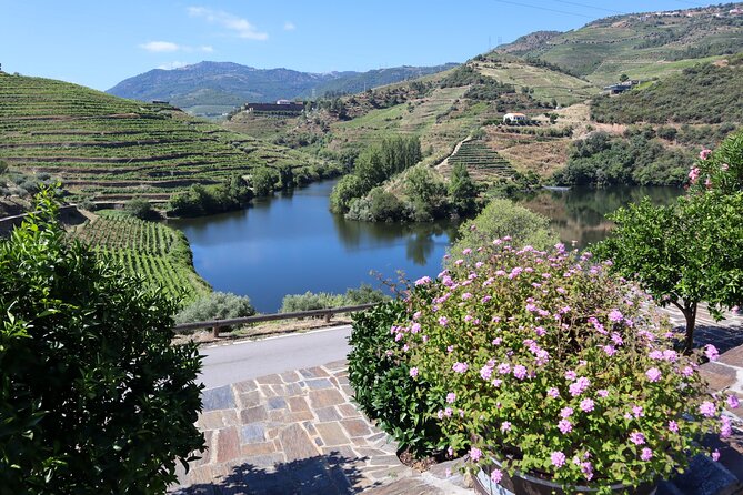 Authentic Small Group Douro Wine Tour with Lunch & River Cruise - The second tasting stop: Quinta do Beijo vibes (and why it helps)
