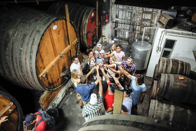 Authentic Small Group Douro Wine Tour with Lunch & River Cruise - Porto pickup, van comfort, and the small-group advantage