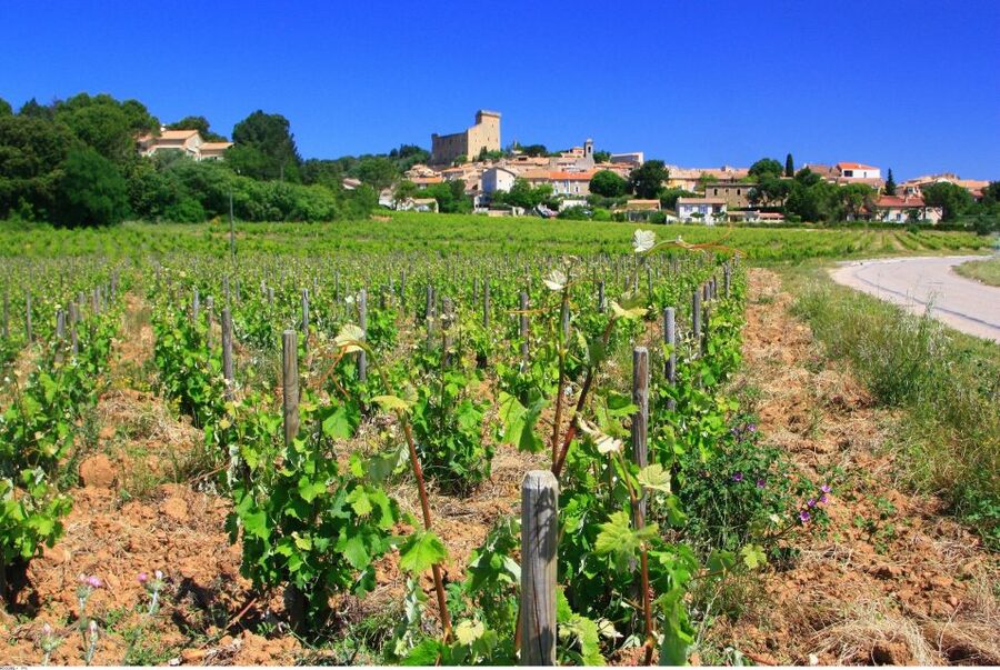 Avignon: Full-Day Wine Tour around Châteauneuf-du-Pape - Key takeaways before you go