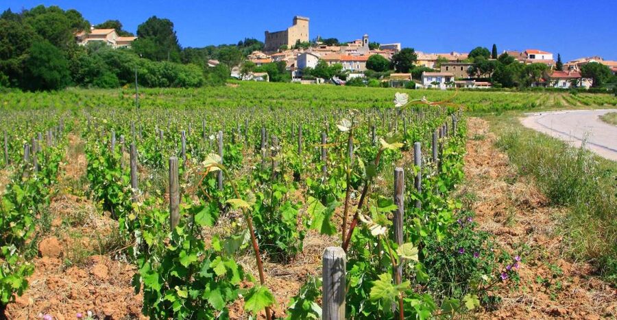 Avignon: Full-Day Wine Tour around Châteauneuf-du-Pape - Why Châteauneuf-du-Pape Is a Great Day Trip From Avignon