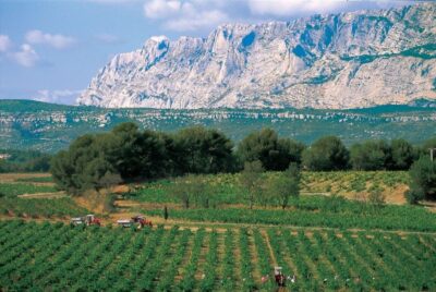 Avignon: Full-Day Wine Tour around Châteauneuf-du-Pape - Small-Group Touring: What Up to 8 People Changes