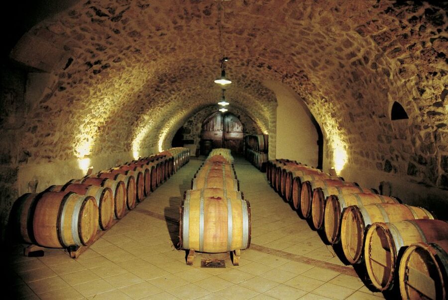 Avignon: Full-Day Wine Tour around Châteauneuf-du-Pape - What Happens in the Cellar: Barrels, Aging, and an Actual Tasting Lesson