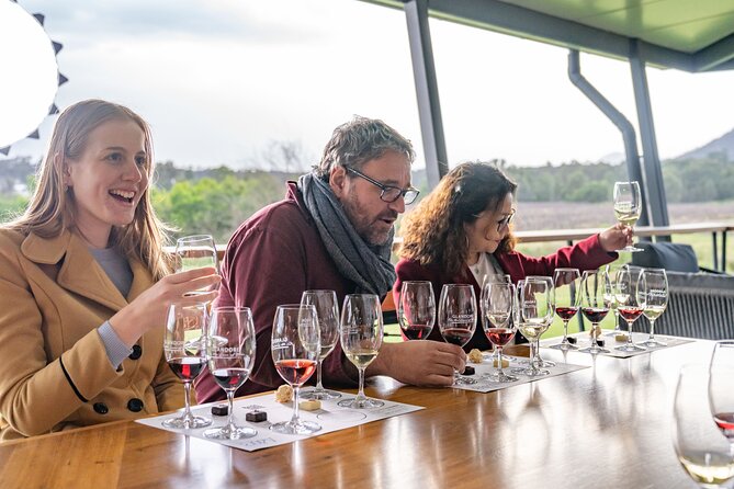 Award-Winning Hunter Valley Wine & Cheese Tour from Sydney - From Sydney’s pickup to the Hunter Valley: the drive that matters