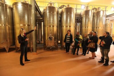Award-Winning Hunter Valley Wine & Cheese Tour from Sydney - What the small-group size really changes