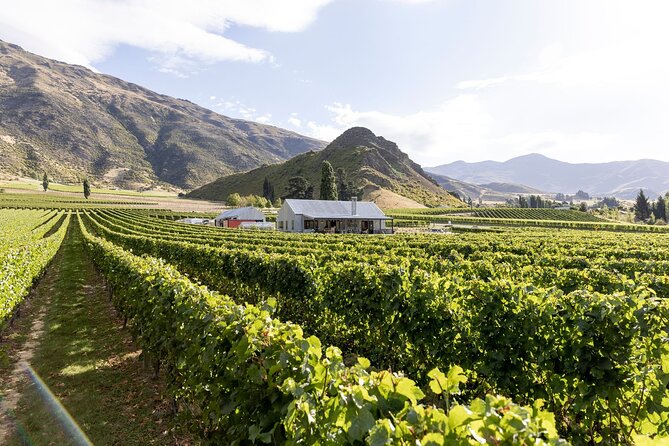 Award Winning Premium Wine Tour Queenstown Tasting at 4 Wineries - Stop 1: Gibbston Valley Winery and the Underground Tour
