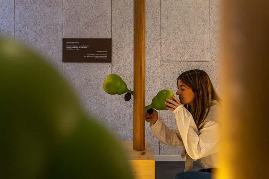 Aÿ-Champagne: Pressoria Champagne Museum with Tasting - Pressoria in Aÿ-Champagne: a Museum Built for Senses and Story