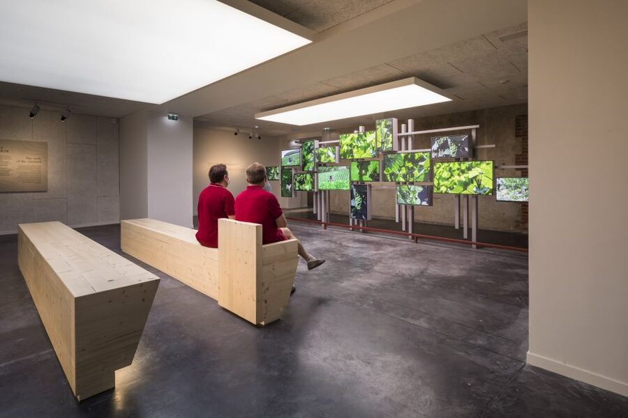 Aÿ-Champagne: Pressoria Champagne Museum with Tasting - The Sub-Soil and Vineyard Logic: Where Flavor Starts