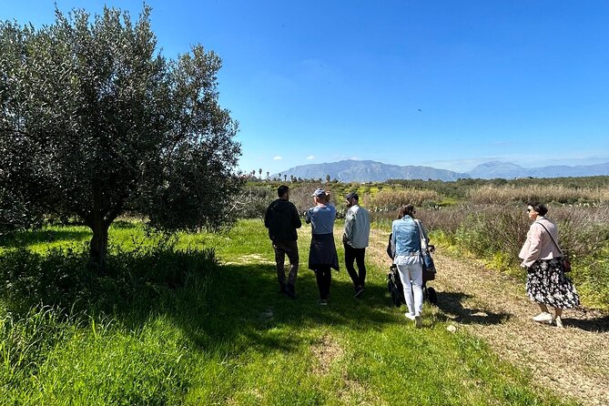 Balestrate Olive Grove Tour: Wine and Olive Oil Tasting - Entering the Balestrate olive grove with Francesco