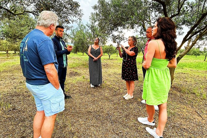Balestrate Olive Grove Tour: Wine and Olive Oil Tasting - The Sicilian house tasting: EVOO, balsamic, wine, limoncello