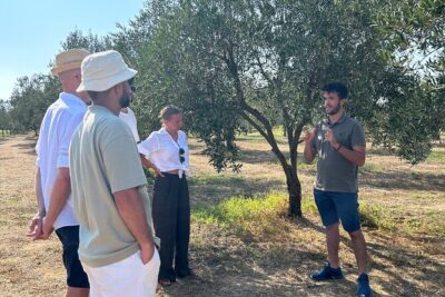 Balestrate Olive Grove Tour: Wine and Olive Oil Tasting - How the olive oil explanation actually helps you taste better