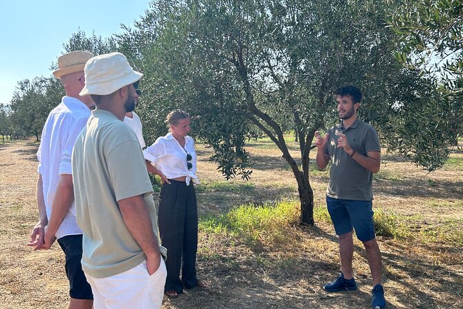 Balestrate Olive Grove Tour: Wine and Olive Oil Tasting - How the olive oil explanation actually helps you taste better