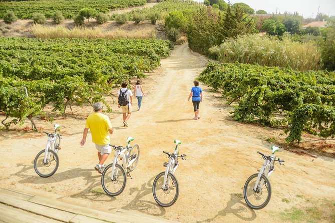 Barcelona eBike Beach Private Tour to Vineyards & Picnic - Price and value: does $302.33 buy real value?