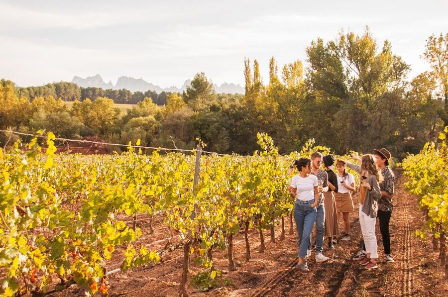 Barcelona: Full-Day Montserrat & Wine Small Group Tour - Who this Montserrat + wine tour fits best