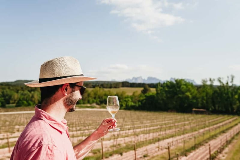 Barcelona: Montserrat and Winery Tour with Tapas or Lunch - Price and value: what you’re really paying for at $61