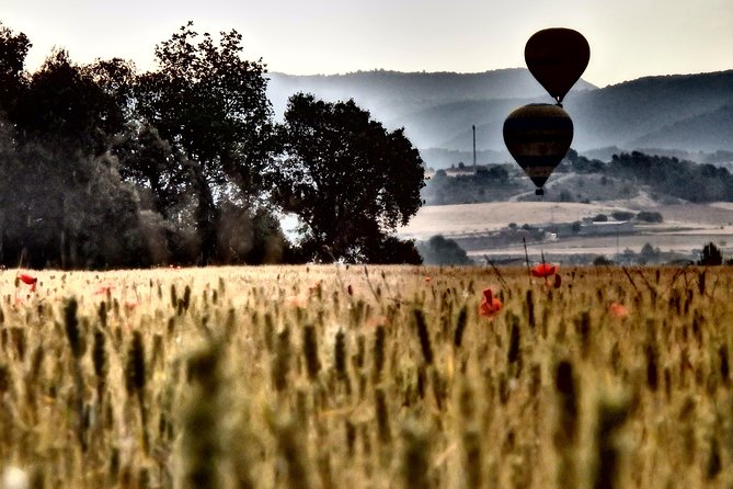 Barcelona: Montserrat Hot Air Balloon Ride with Champagne Toast - Price and value: is $272.21 worth it?