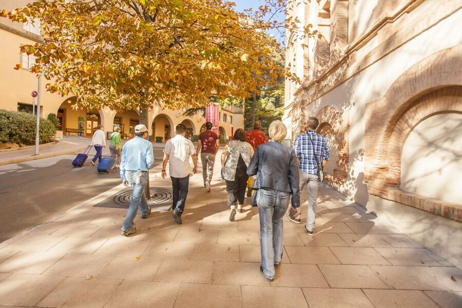 Barcelona: Montserrat with Winery Visit and Farmhouse Lunch - Key Things I’d Plan For