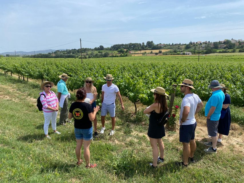 Barcelona: Montserrat with Winery Visit and Farmhouse Lunch - Basilica Tickets and Museum Fees: What to Expect Before You Go