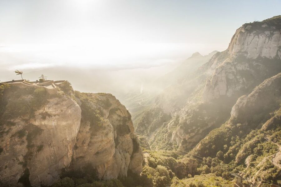 Barcelona: Montserrat with Winery Visit and Farmhouse Lunch - Lunch in the Vineyards: The “This Is Why We Came” Stop