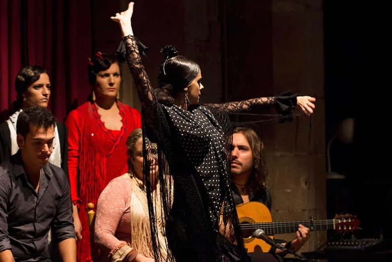 Barcelona: Private Tapas & Wine with Flamenco Show Old Town - The flamenco setting: Palau Dalmases and what makes it intimate