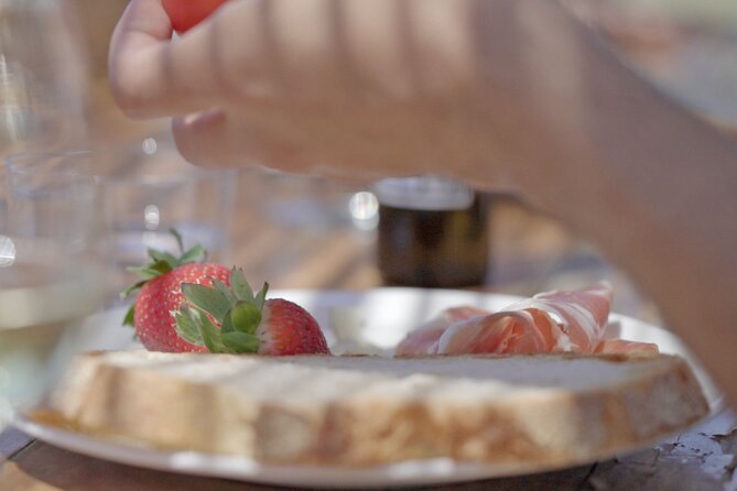 Barcelona Sailing Adventure and Small Group Winery Tasting Tour - From Port Olimpic to the coast: what the sailing actually feels like
