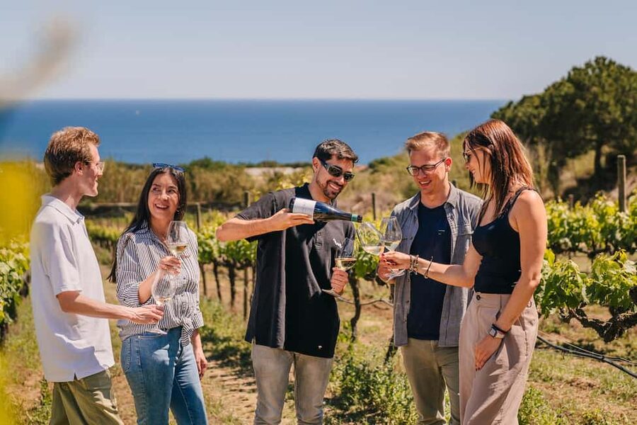 Barcelona: Sailing Cruise & Vineyard Tour with Wine Tasting - The Winery Visit: 14th-Century Setting and a Guided Vineyard Walk
