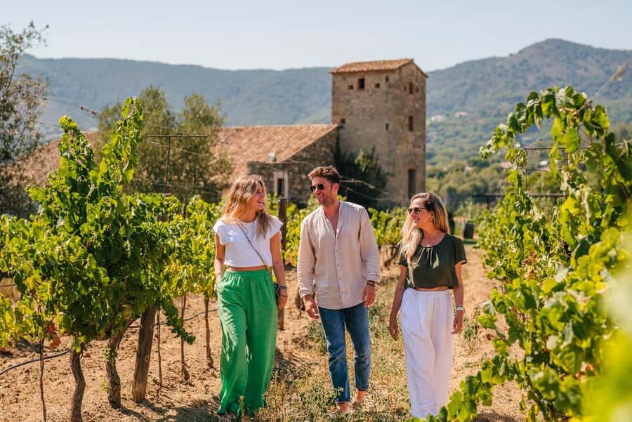 Barcelona: Sailing Cruise & Vineyard Tour with Wine Tasting - Final Verdict: Should You Book This Barcelona Sail + Alella Winery Tour?