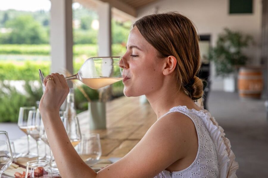 Bardolino: Vineyard Tour with Wine and Food Tasting - Who this tour is best for (and who should skip it)
