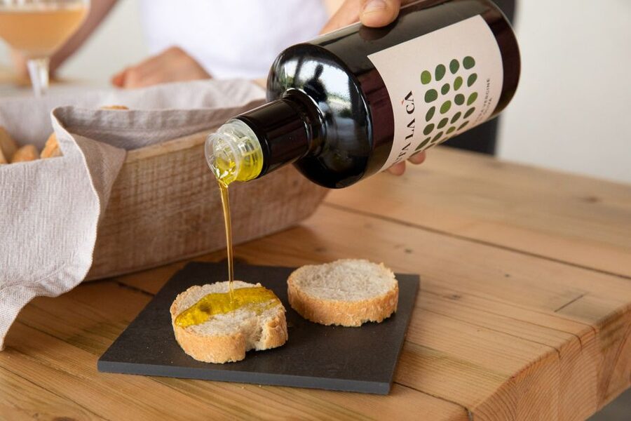 Bardolino: Vineyard Tour with Wine and Food Tasting - Steel room and cellar storytelling: wine science without the snooze