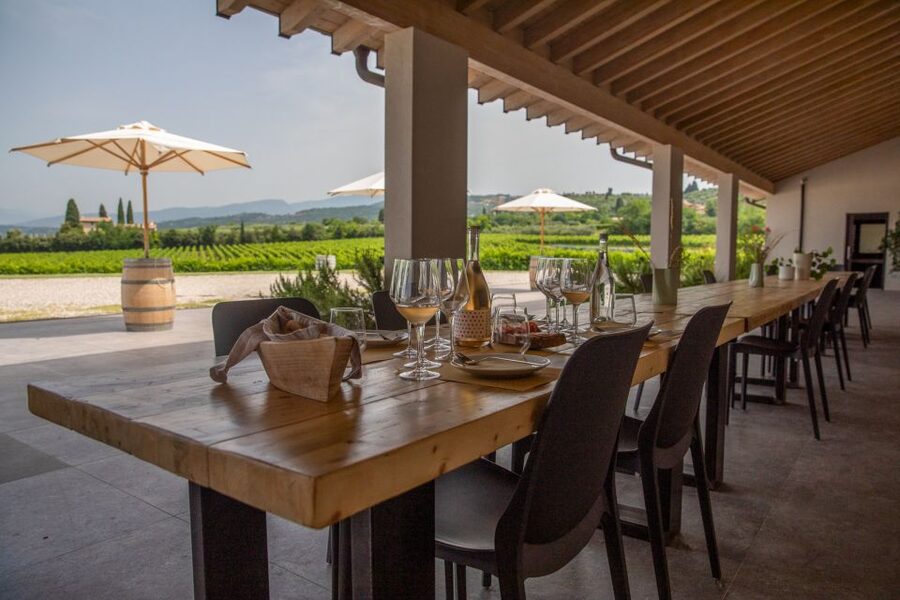 Bardolino: Vineyard Tour with Wine and Food Tasting - Price and value: is $53 fair for what you get?