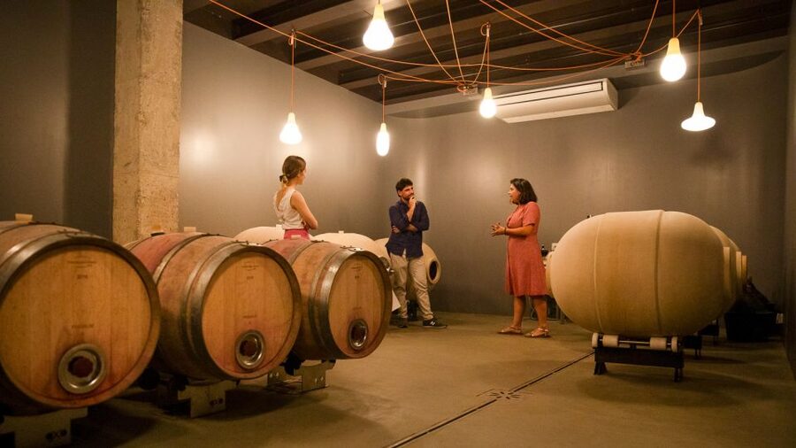 Bardolino: Vineyard Tour with Wine and Food Tasting - What can feel slightly off (so you don’t get surprised)