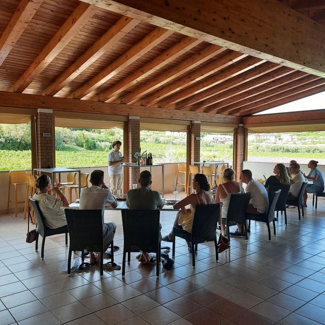 Bardolino: Vineyard Tour with Wine, Olive Oil & Food Tasting - Vineyard tour: Bardolino DOC, grape basics, and why weather matters