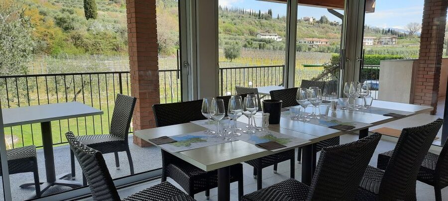 Bardolino: Vineyard Tour with Wine, Olive Oil & Food Tasting - Learning the production method without getting stuck in jargon