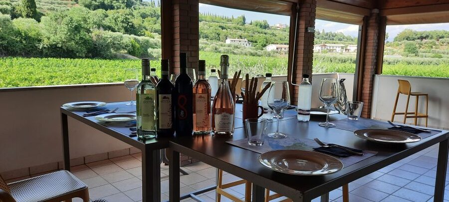 Bardolino: Vineyard Tour with Wine, Olive Oil & Food Tasting - Where to meet and how the tour actually flows