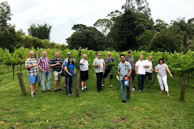 Barefoot Luxury Mount Tamborine Winery Tour from Brisbane - Pickup, timing, and the small-group feel (13 people max)