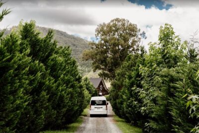 Barefoot Luxury Mount Tamborine Winery Tour from Brisbane - First stop: a national park break in Queensland